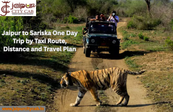 Taxi for Jodhpur Sightseeing Package