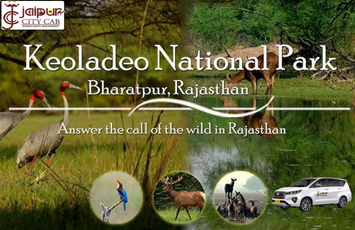 Taxi for Jodhpur Sightseeing Package