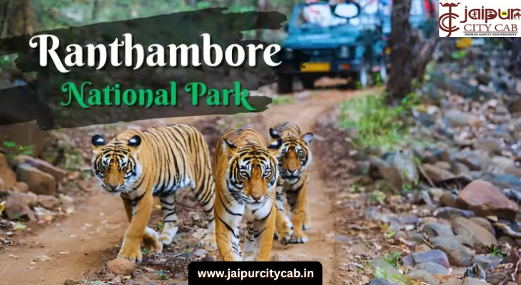 Ranthambore – Wildlife Experience