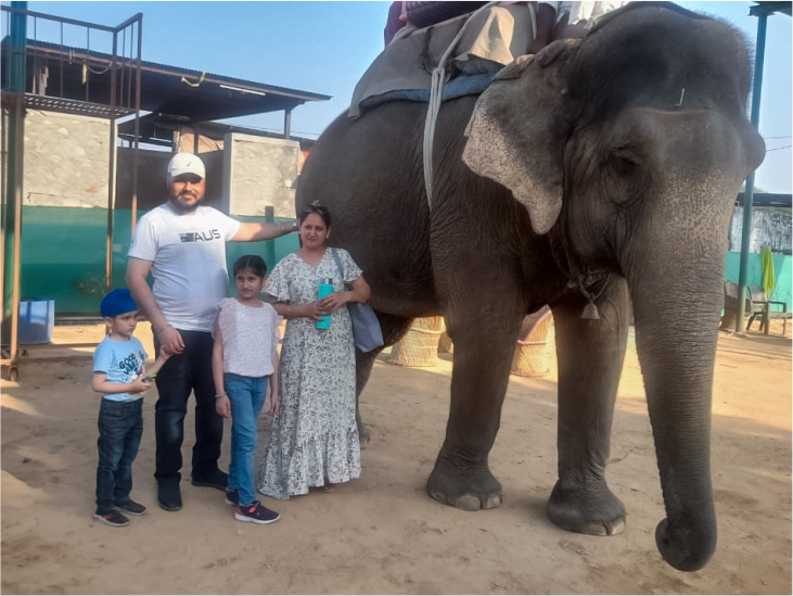 Elephant Village Elephant Village