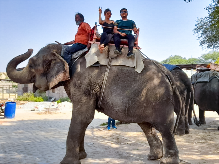 Elephant Village