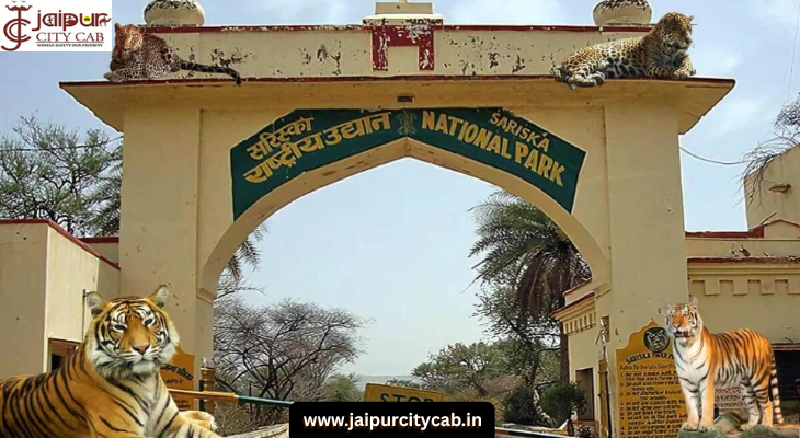 Jaipur to Sariska One Day Trip by Taxi