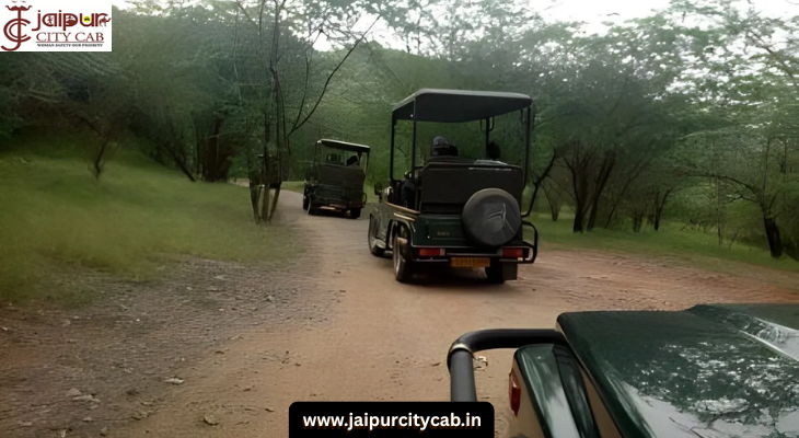 Jaipur to Sariska Road Trip Route