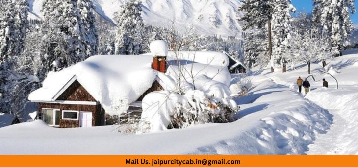 Kashmir Snowfall Srinagar Gulmarg Tour