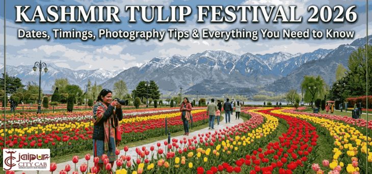 Kashmir Tulip Garden Travel Guide