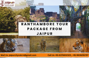 Taxi for Jodhpur Sightseeing Package
